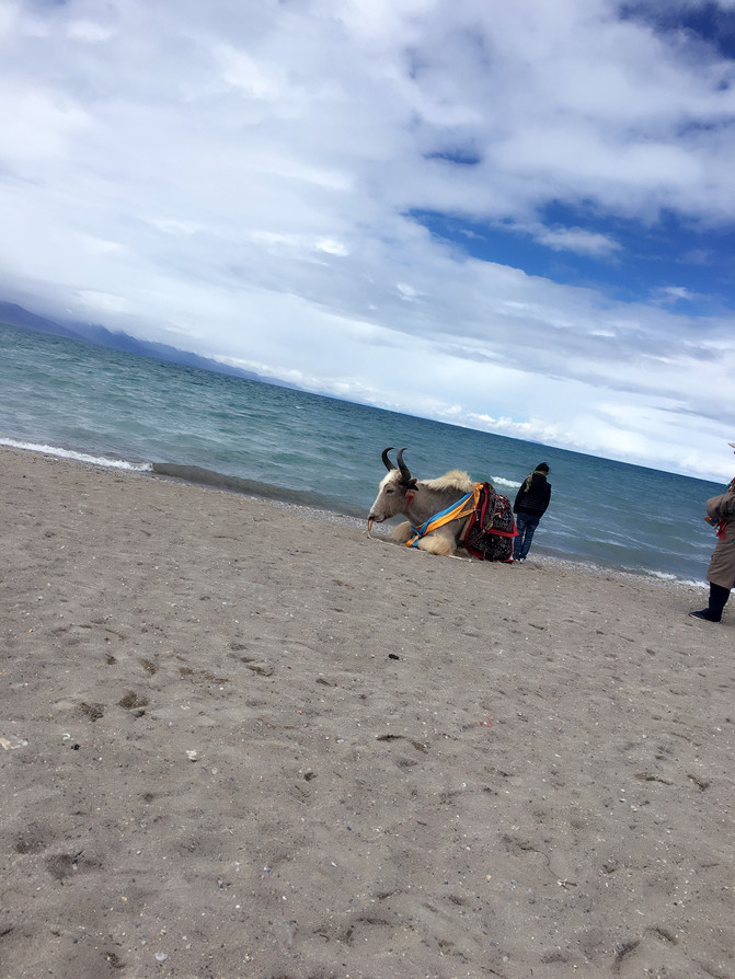 母女二人坐上火车去拉萨 - 武汉游记攻略