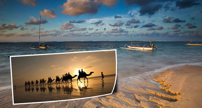 #巴厘岛日航酒店#日航酒店的骑骆驼🐫怎么收