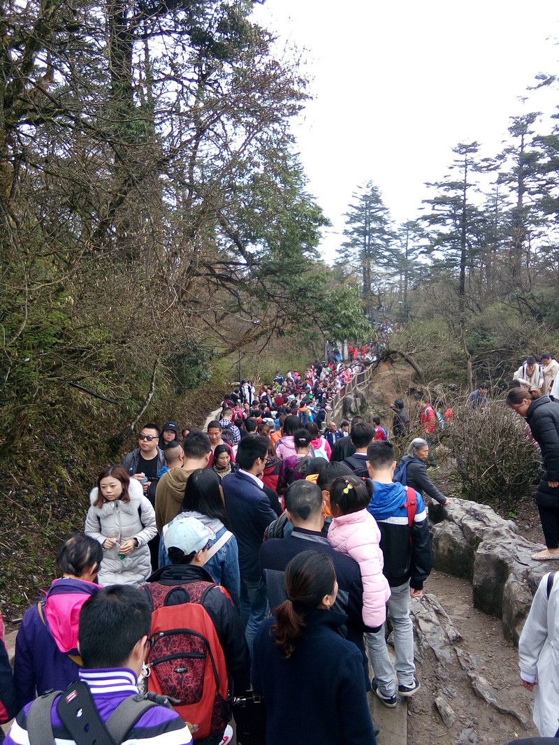 说走就走的旅行—2天找虐爬山征服峨眉山金顶的穷游,灵魂和身体总有一