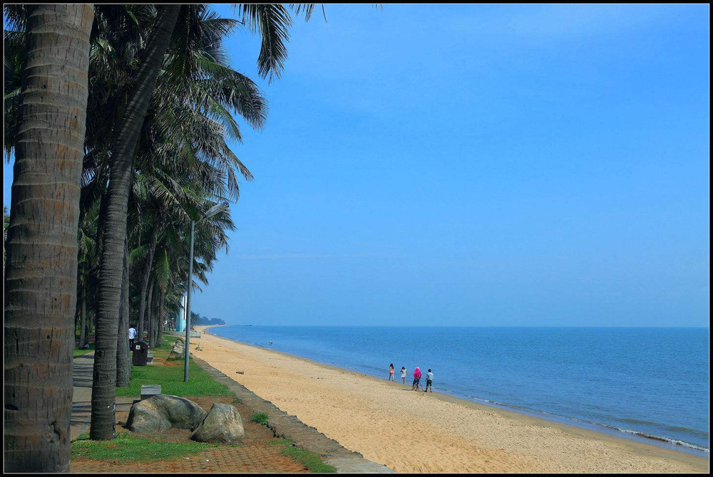 最爱海口的美景,感受海口温暖的冬天