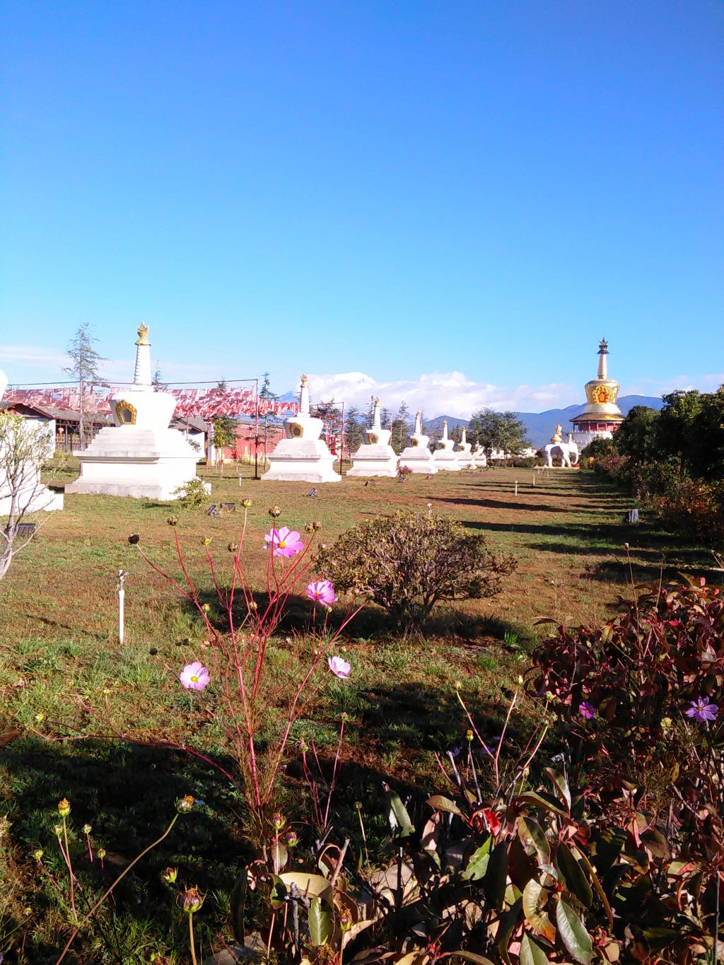 金塔景区地处丽江古城东南方的蛇山之巅,与古城直线距离约4.