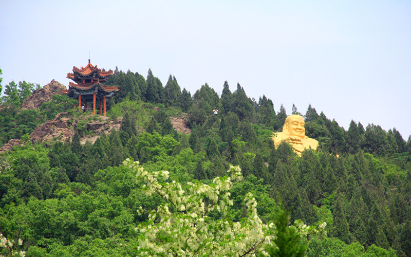 九顶莲花山---槐花飘香