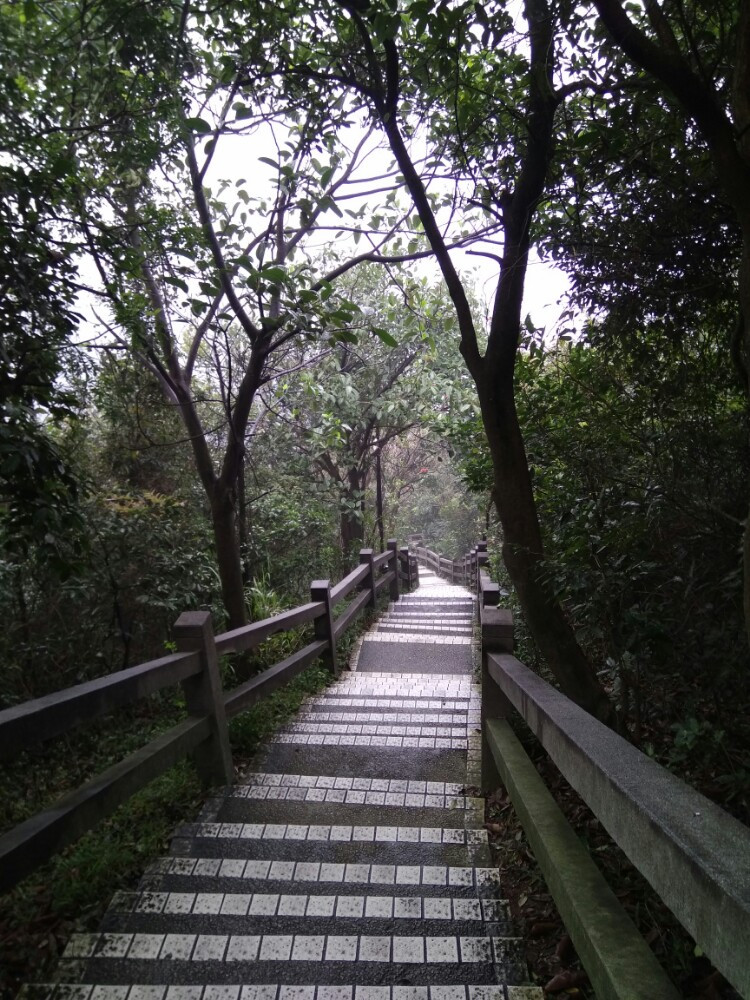 雨中白云山