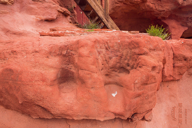 信仰与荣耀--草原文明与成吉思汗最后的铁骑 -
