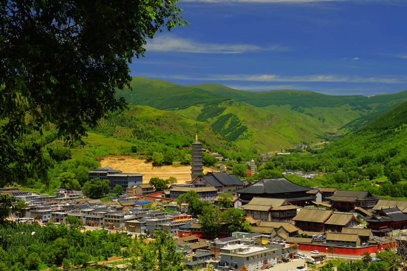 五台山佛学院普寿寺