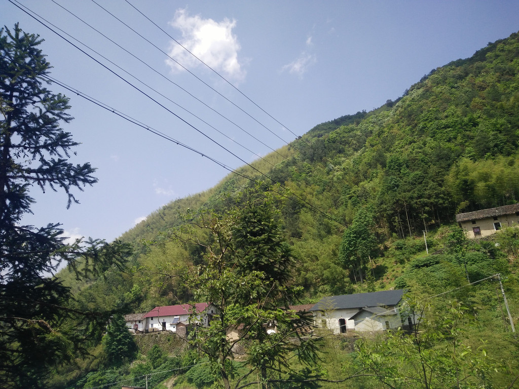 穿越十里花海——浙江衢州绿春湖自由行一日游记