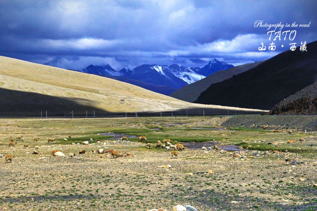 行摄山南,西藏往南,探索三界之地勒布沟