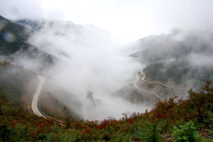 花非花雾非雾,福寿宝山美景无数