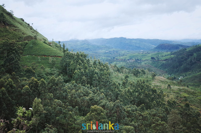 【败给坏天气,岂能败给好心情】--三十年一遇特