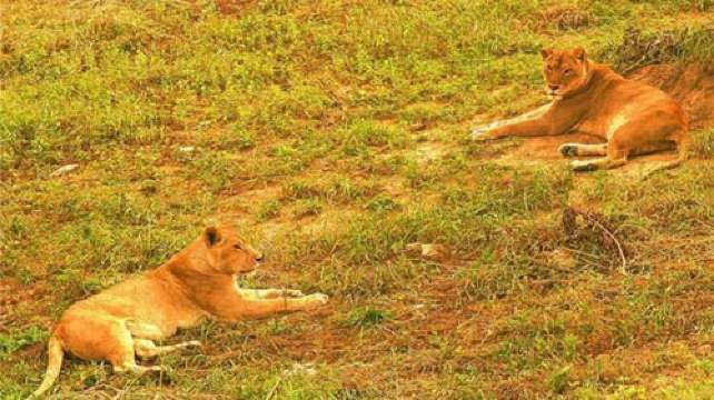 宿迁动物园门票,宿迁动物园门票价格,宿迁动物园门票