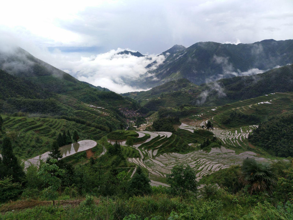           云和梯田七星墩观景台