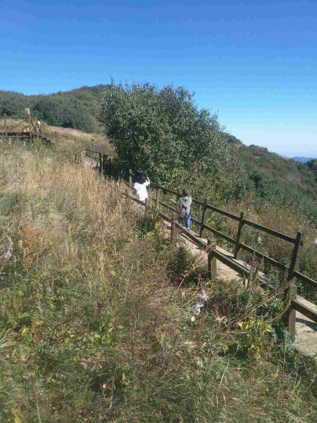 野三坡白草畔景区