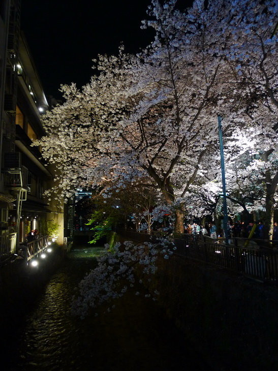 那条街,花见小路一般大家都去左边那条街,因为右边的街道店铺比较普通