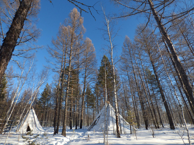 【哈尔滨--漠河--北极村--北红村--雪乡--攻略岛剑三餐厅雾凇图片