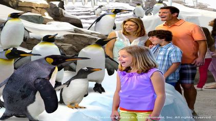 奥兰多海洋世界 (1)