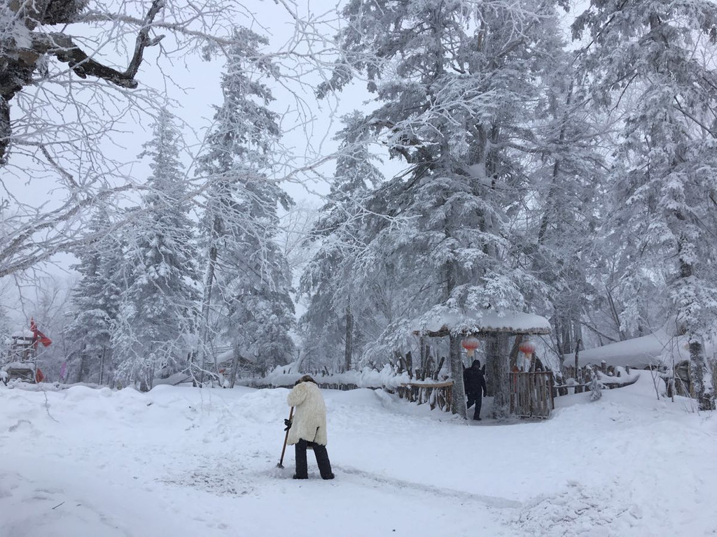 春节# 只想带着你走南闯北 之 小小人的冰天雪地 哈尔滨-雪乡-亚布力