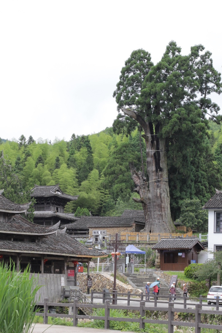 景宁"云中大漈"大际村