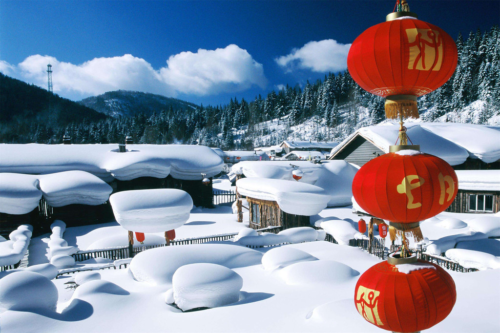 最美雪景-哈尔滨-中国雪谷穿越中国雪乡.冰雪之旅