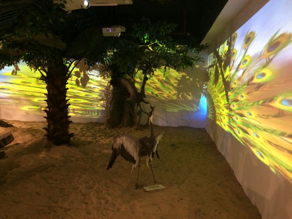 周庄生命奥秘博物馆之脊椎王国展厅游记