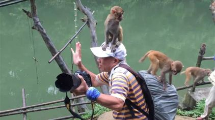 广西龙虎山自然保护区 (5)