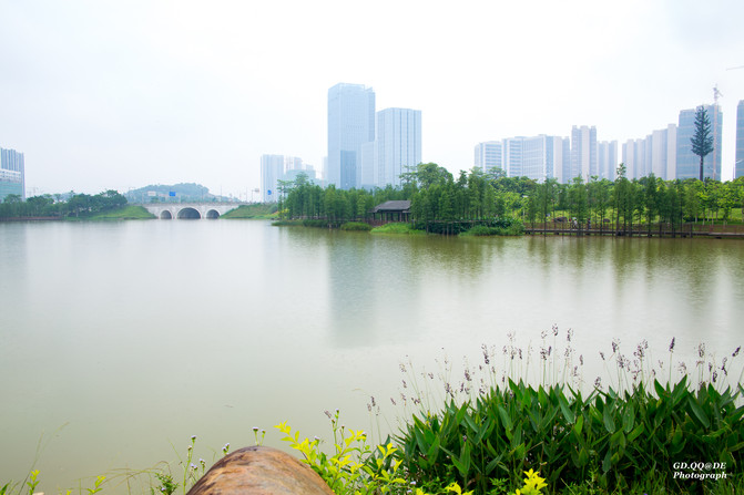 凤凰湖位于中新广州知识城南起步区内,是一个人工湖,在平岗河流域的