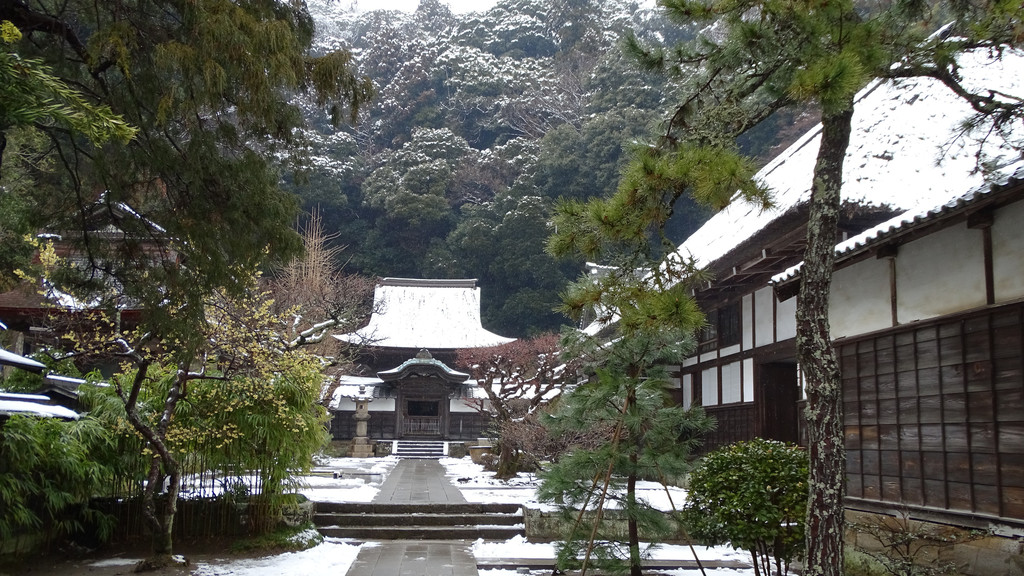 日本神奈川县镰仓的圆觉寺:秋与冬之忆 - 镰仓市游记