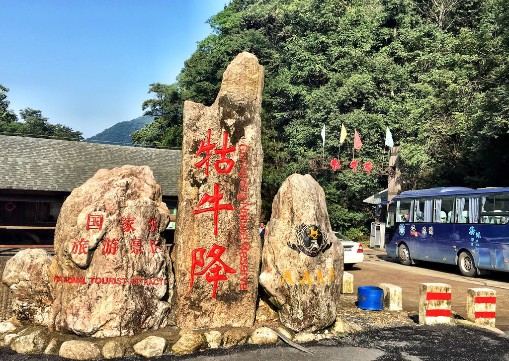 在祁门县和石台县交界处,有着"西黄山"之称的牯牛降风景区就坐落在