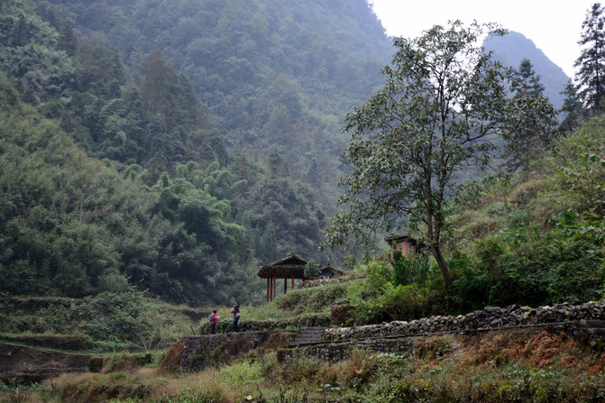 德夯苗寨景区