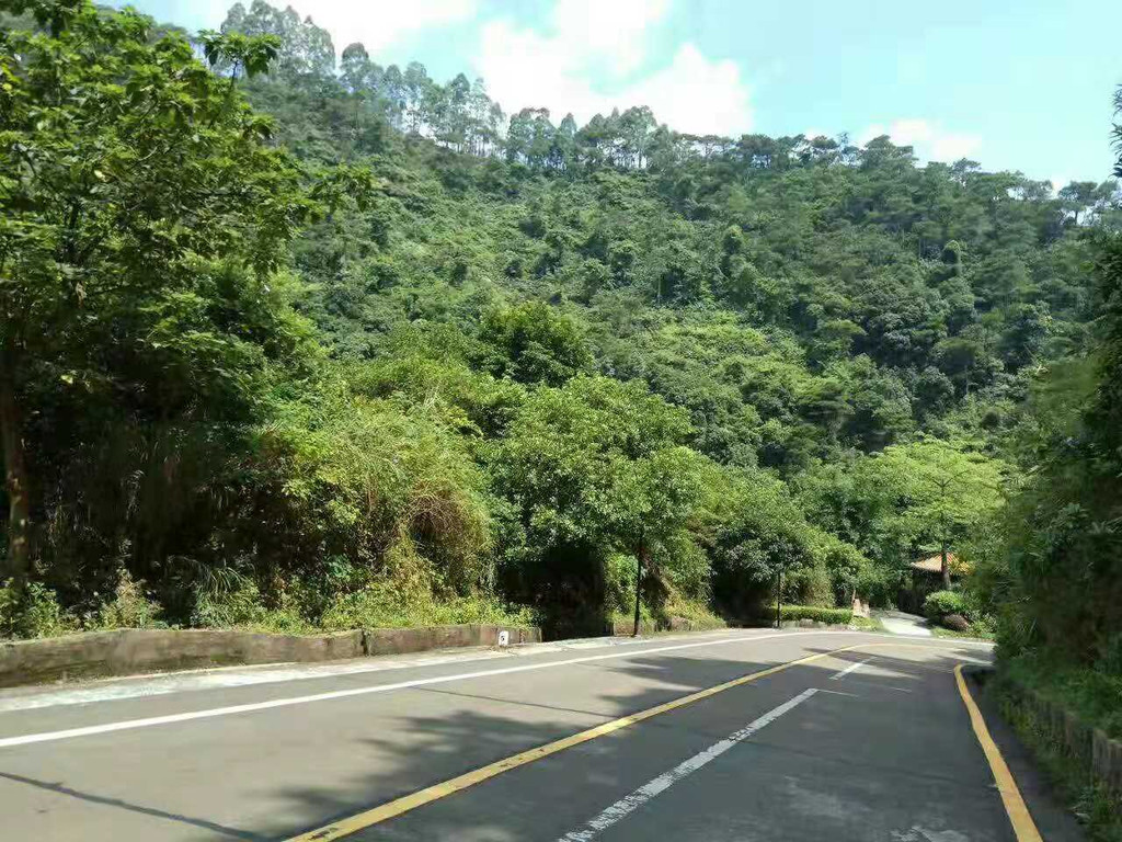 南海湾森林公园一天游记