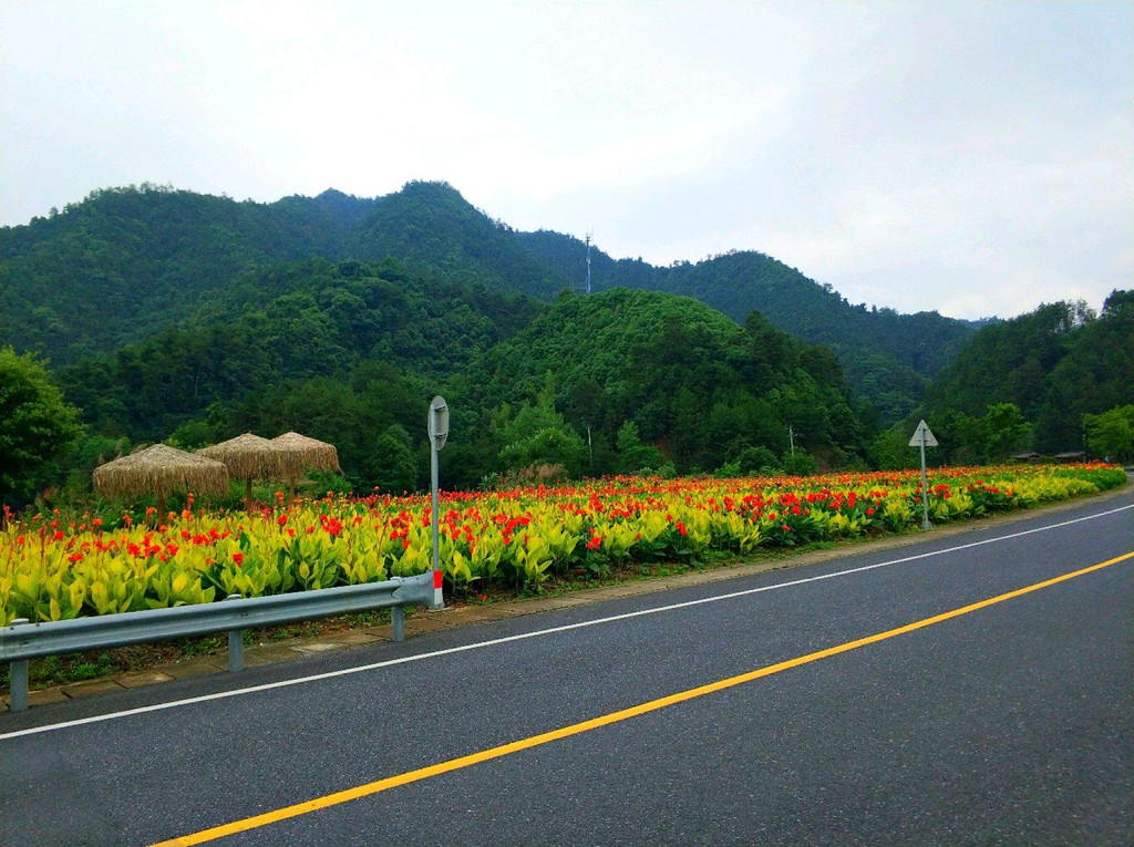 千岛湖环湖骑行june,2017