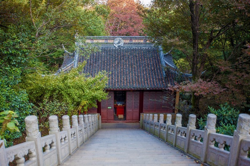 无论在雨花胜境,在东山村,在陆巷村,都有可以自然采摘的橘园.