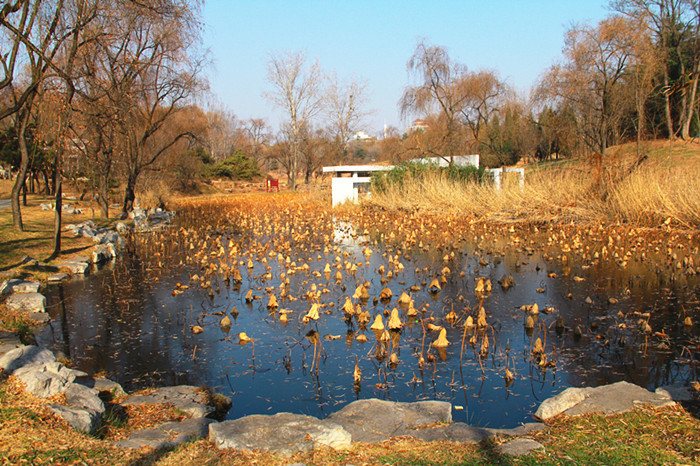 莱芜红石公园