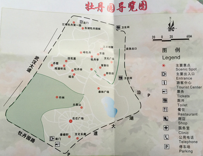 东湖牡丹园——江南牡丹第一园