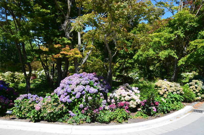 基督城植物园