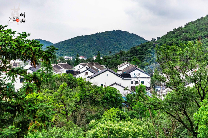 猎艳行动#【苏州.树山】一段小清新的洗肺之旅