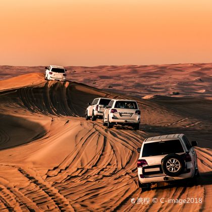 阿联酋迪拜沙漠保护区+沙漠冲沙半日游