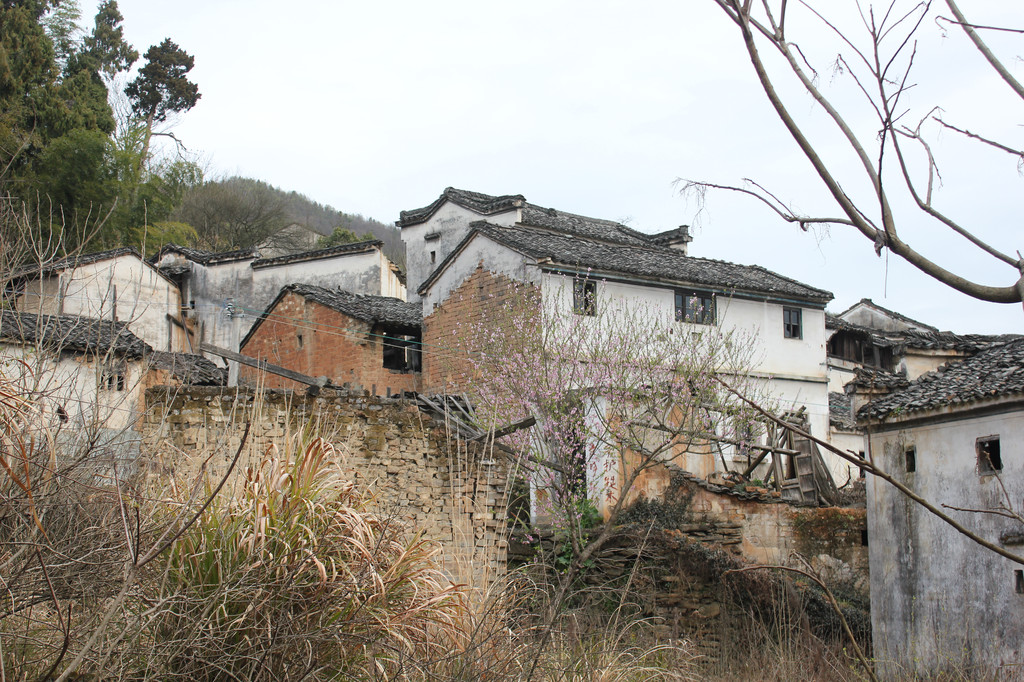 石潭春色--安徽歙县石潭村2日游