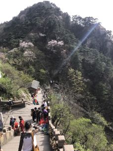 天台景区-九华山-139****1713