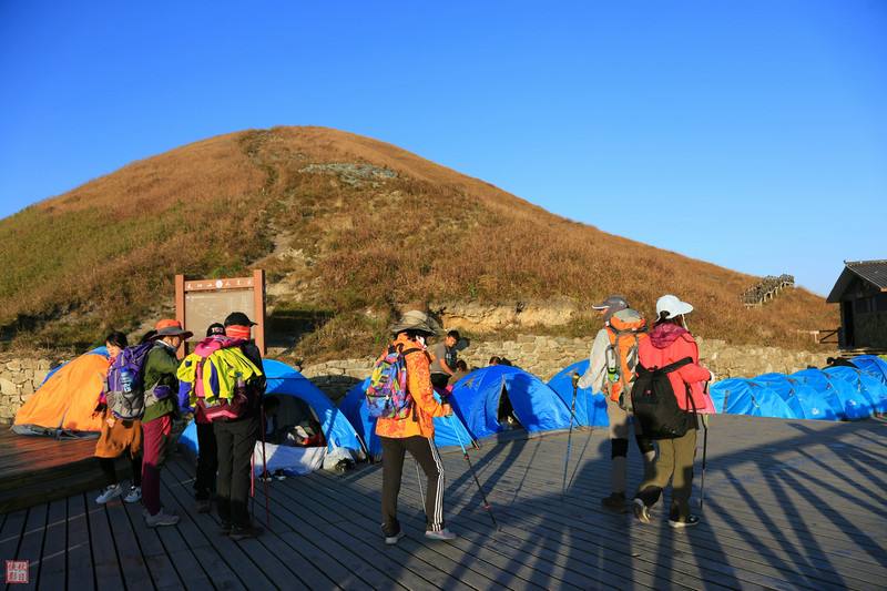 进入金顶景区,武功山的精华:高山草甸终于扑面而来.