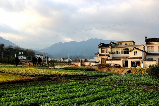 地处黄山主脉箬岭南麓,一个宁静的小村庄,景色优美.