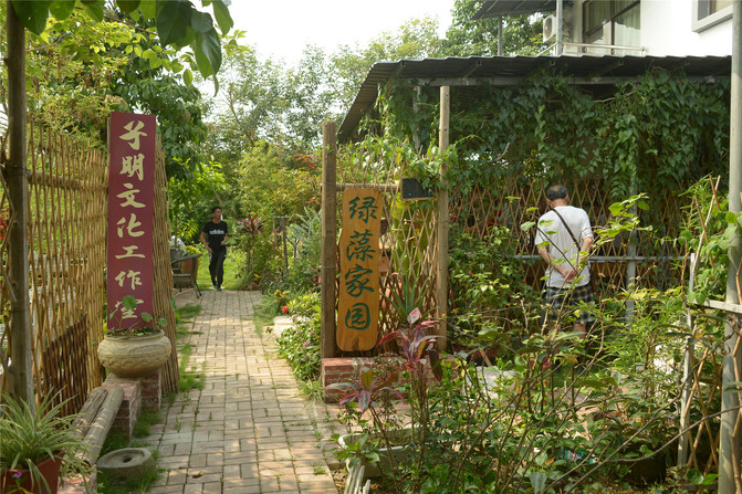 南宁市兴宁区三塘十里花卉长廊嘉宝果生态农庄