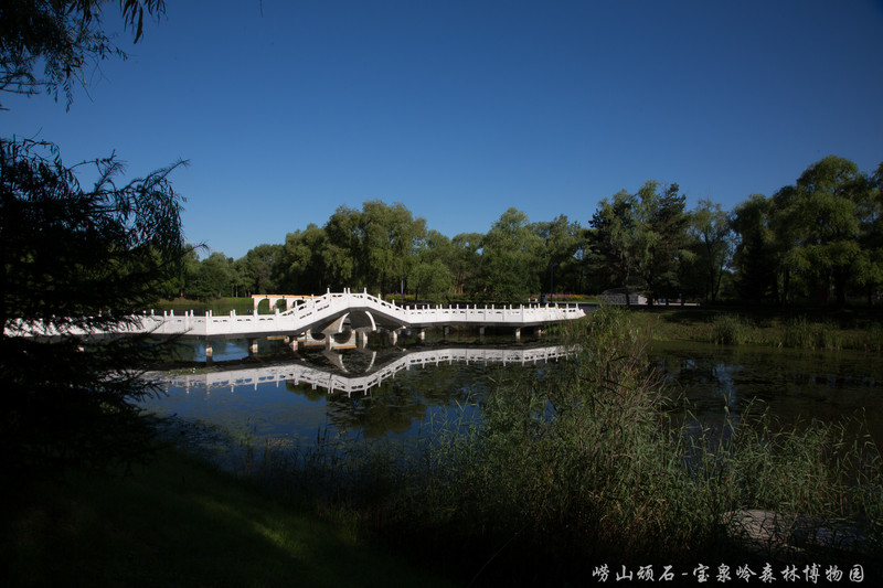 重返黑龙江宝泉岭-知青寻梦之旅
