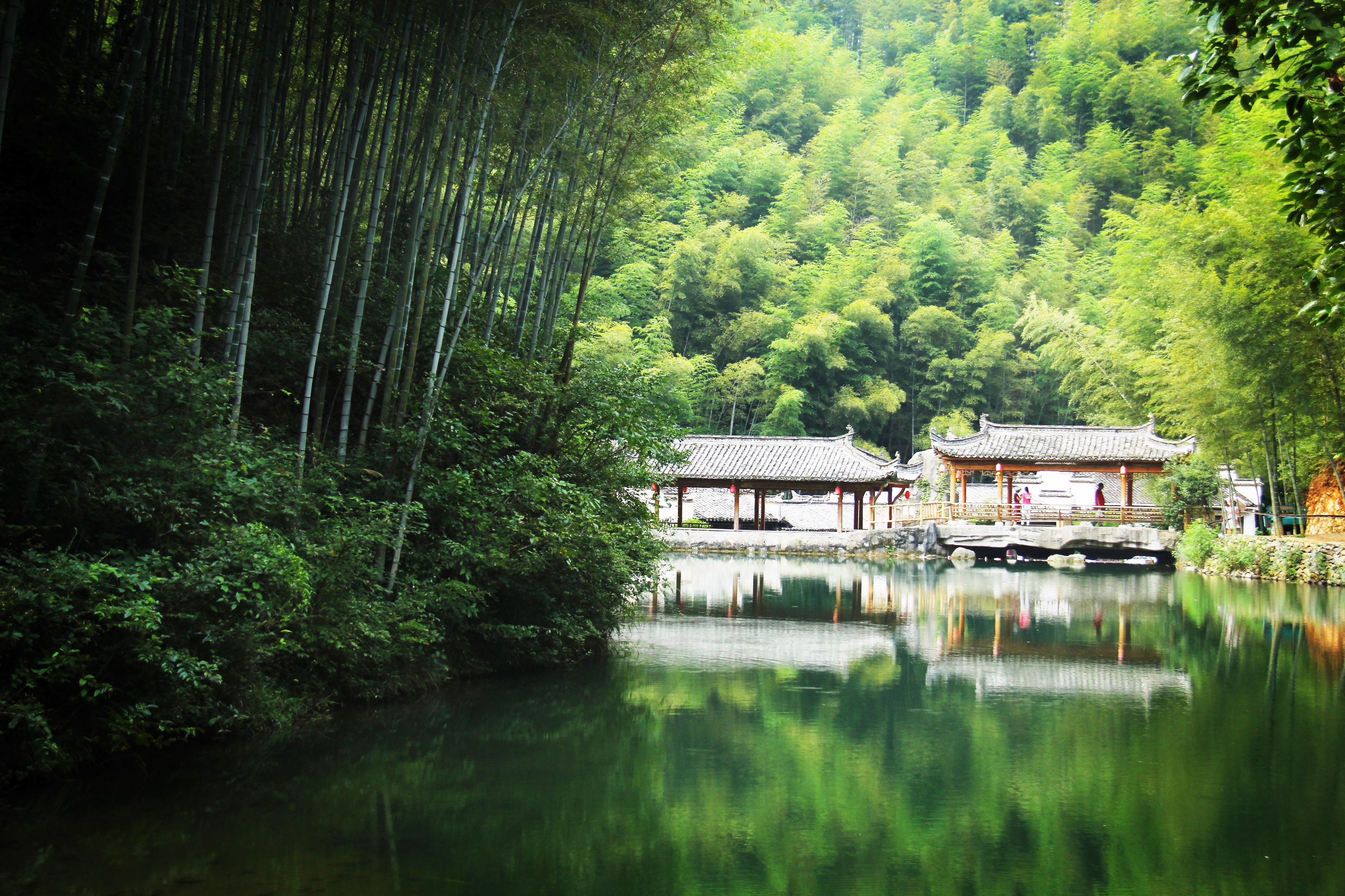 木坑竹海门票