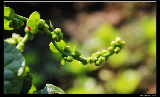 黄埔古港游记-游记攻略-旅游路上-乐驼网