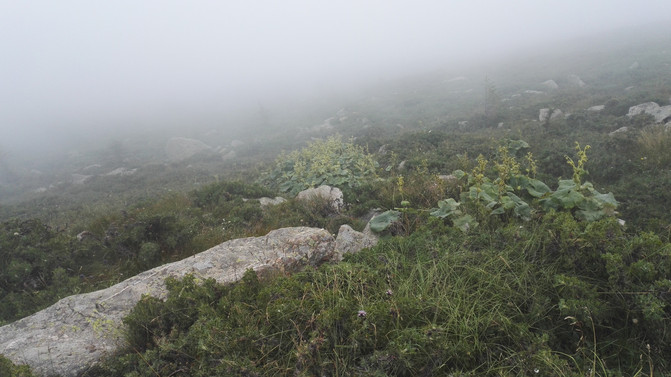 心的阿哥之五台山徒步大朝台,带你走近最真实旅途剧情攻略八图片