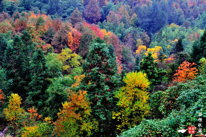 彩色世界协里 - 黟县游记攻略