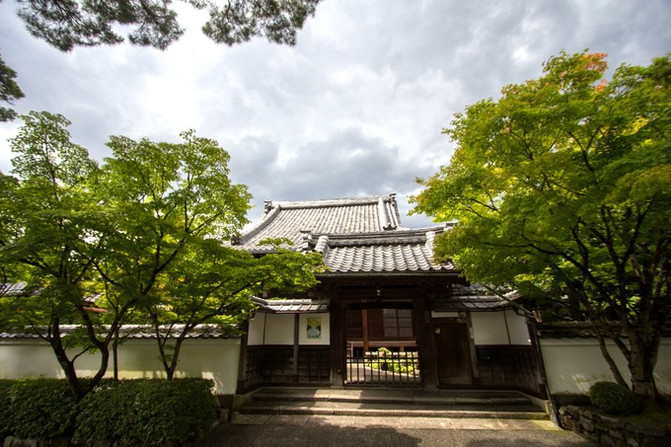 日本9日自由行,美女的精彩游记!