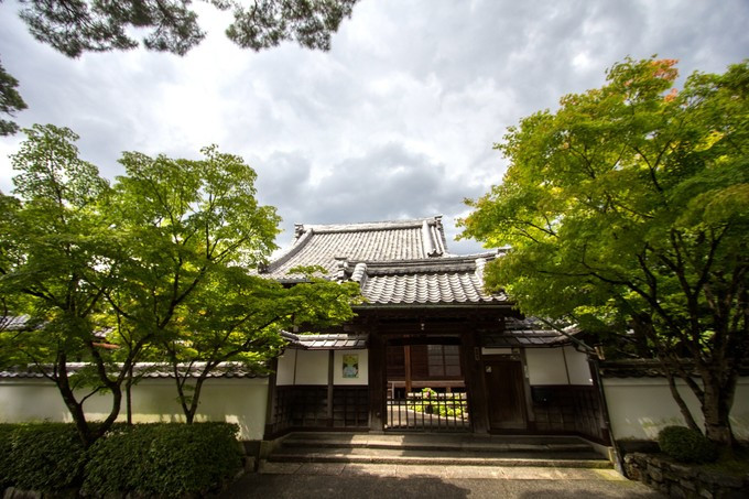 永观堂禅林寺