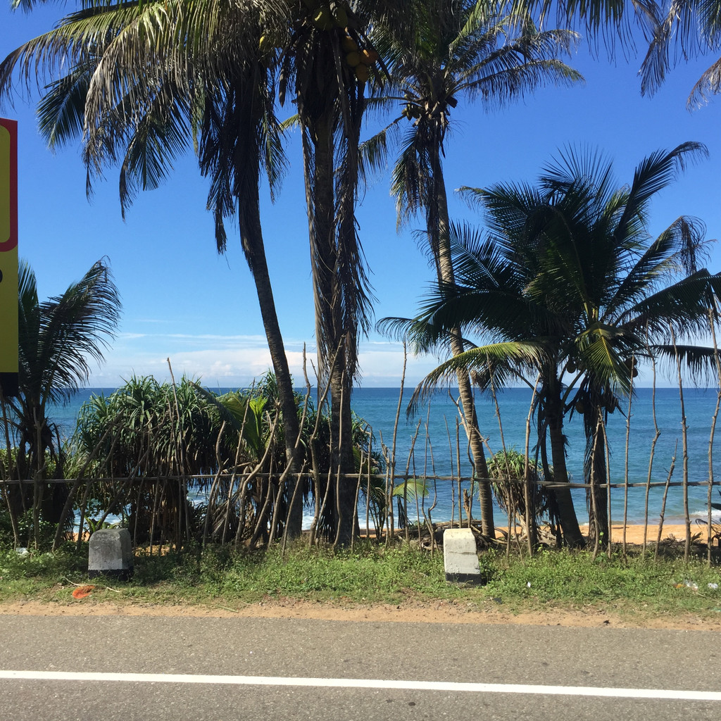 蓝天碧海沙滩椰林,是这儿最普通的风景,却是看不够的美.