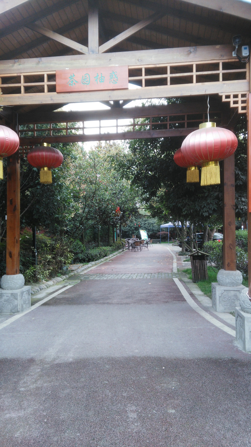 游个冷门景点可以了吧,轻松自在,游成都新都区斑竹园和新繁,全程公交